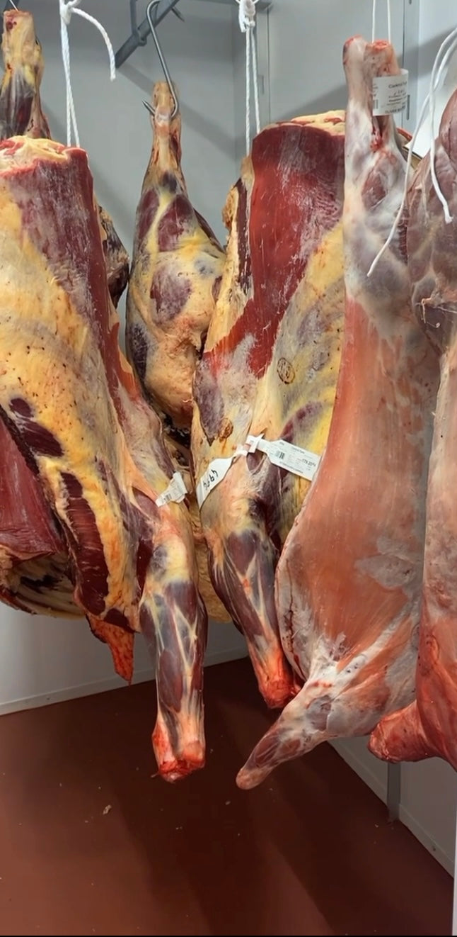 Whole Beef Box