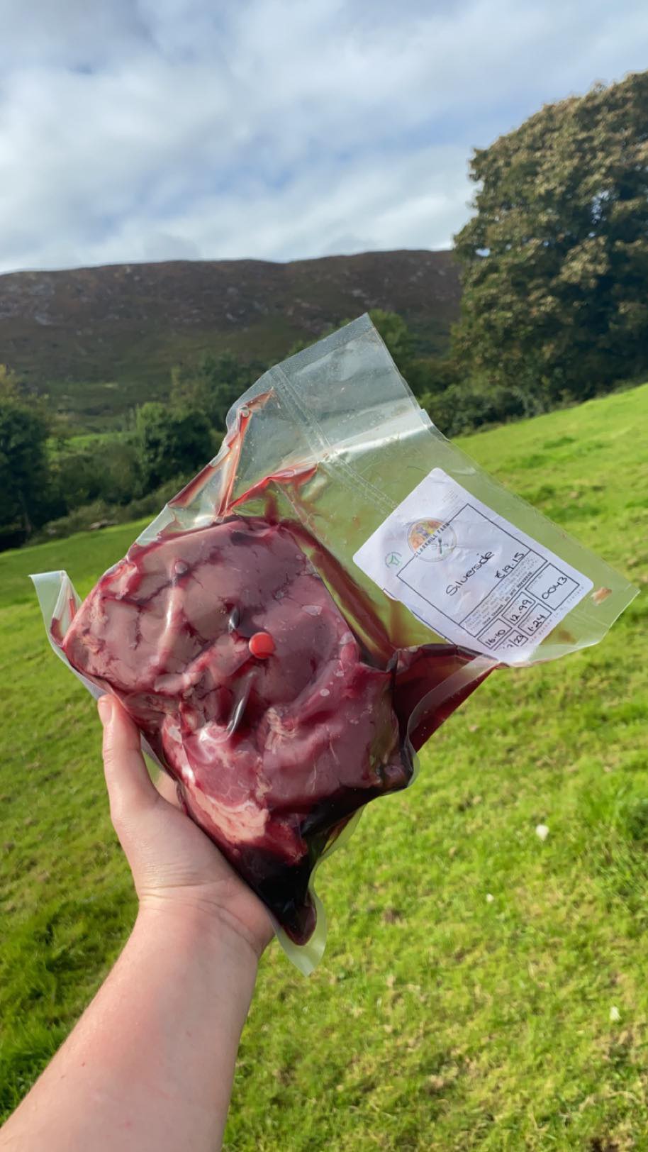 Silverside Roast